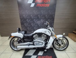 V-ROD 1250cc MUSCLE VRSCF